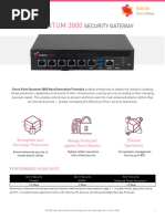 3800 Security Gateway Datasheet