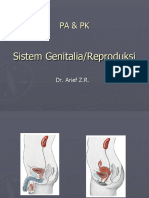 IKP PATOLOGI - Ke-13 - Sistem Genitalia