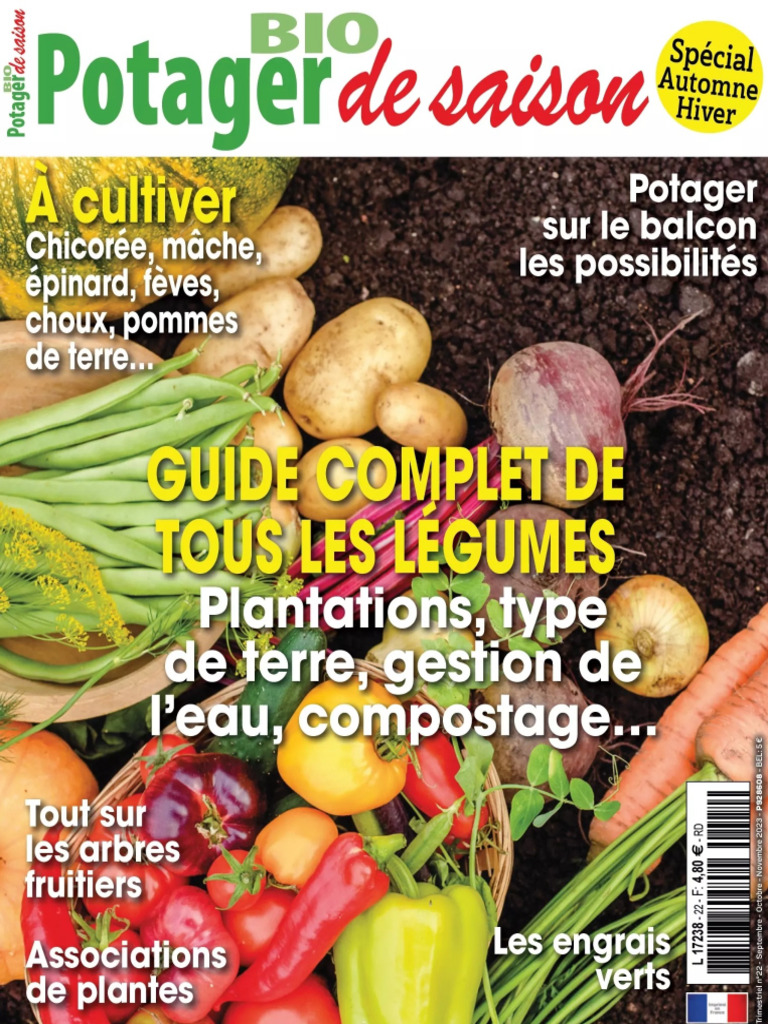 Il est temps de planter tes légumes en pleine terre ! - Vert Bobo