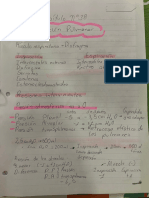 Portafolio Fisiología