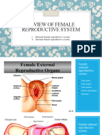 1 Anatomy Female Reproductive System