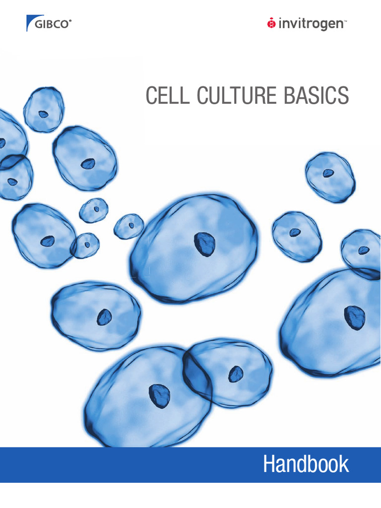 4 1 Cell Culture Basics Pdf Cell Culture Sterilization