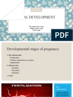 3 Fetal Development