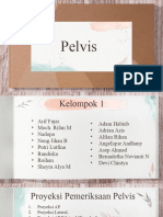 Pelvis
