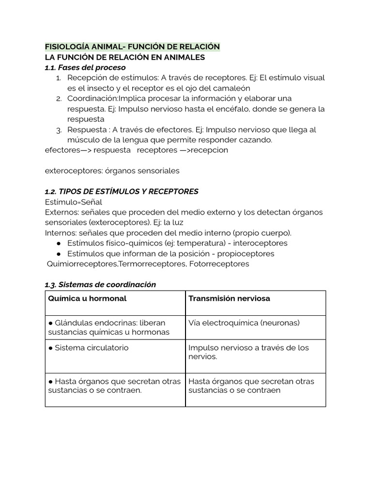 Función de Relación en Animales: Fisiología | PDF | Sistema nervioso ...
