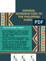 The Philippine Forest