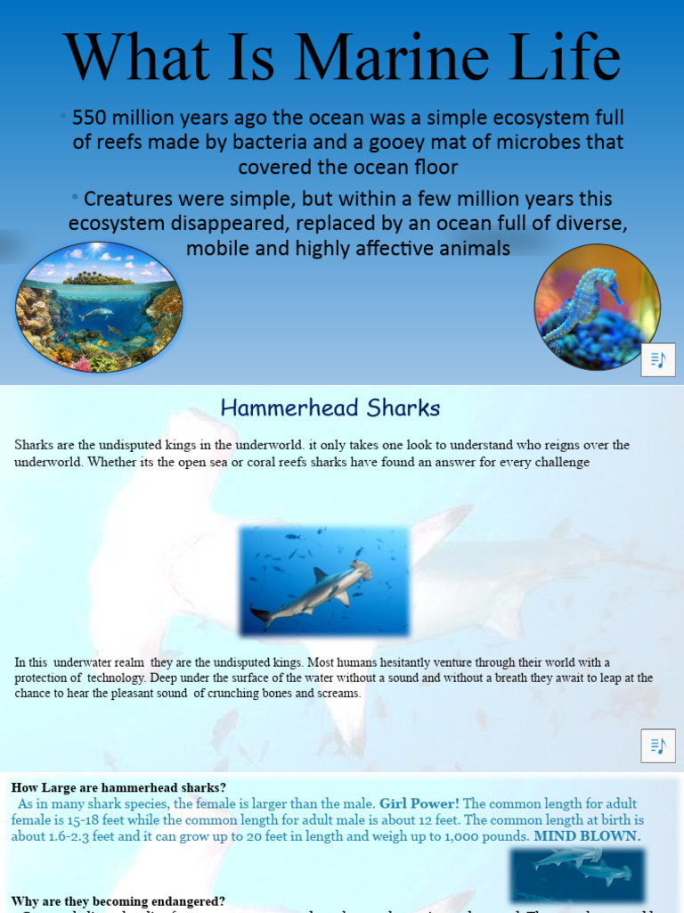 what-is-marine-life-pdf-sharks-predation