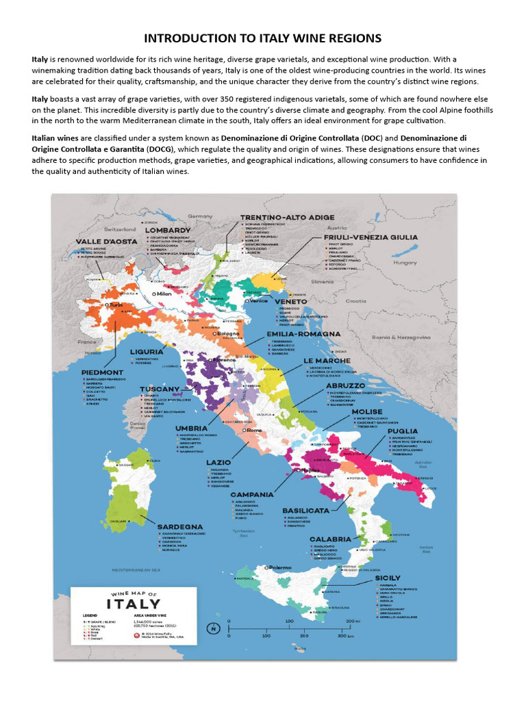 Italian Wine Region PDF Wine Grape