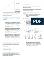 Plant & Animal Reproduction and Development