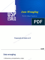 Slides Data Wrangling 091121pdf Portugues