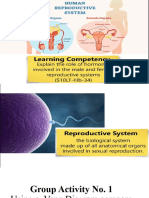1 Male and Female Reproductive System and Hormones