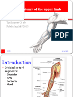 1 ANT Anatomy of The Upper Limp TG