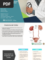 Colocación de Catéter Doble J | PDF | Sistema urinario | Riñón