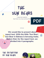 THE Sun Bears
