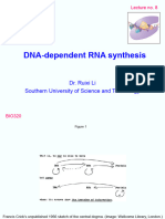 Lecture8 DNA-Dependent RNA Synthesis-2