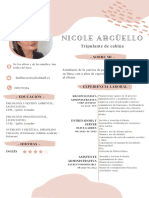 Curriculum Vitae Actualizado