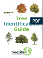 Tree ID Guide