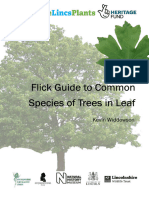Tree Guide Continuous Form 26 Nov 2020 - Compressed