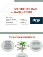 Botani (Metabolisme Sel Dan Peranan Enzim)