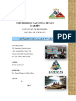 Trabajo Grupal Análisis de La Ley 28245