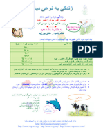 AL Persian 6 Sheep