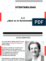 1 1sustentabilidad