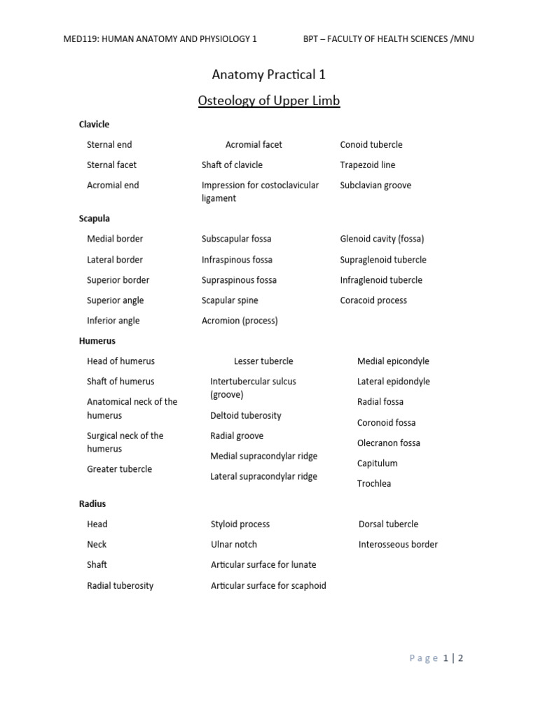 Practical 1 Osteology Of Upper Limb Pdf