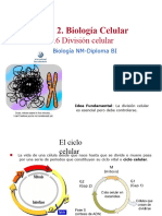 Biología - Celular. División Celular IB Program
