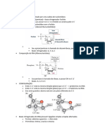 biomol 1