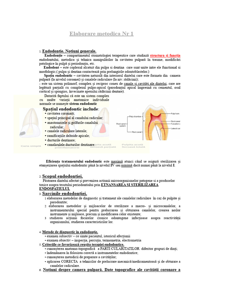 Endo Tot1 | PDF