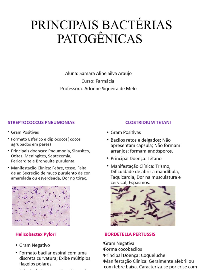 Principais Bactérias Patogênicas | PDF