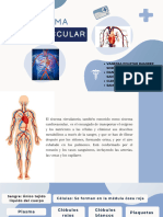 Sistema Cardiovascular