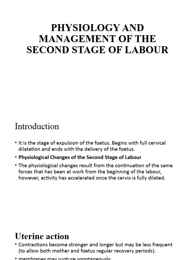 Images Of Mechanism Of Labour