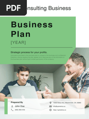consulting-business-plan