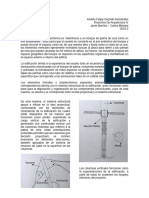 Felipe Guzmán - Estructuras