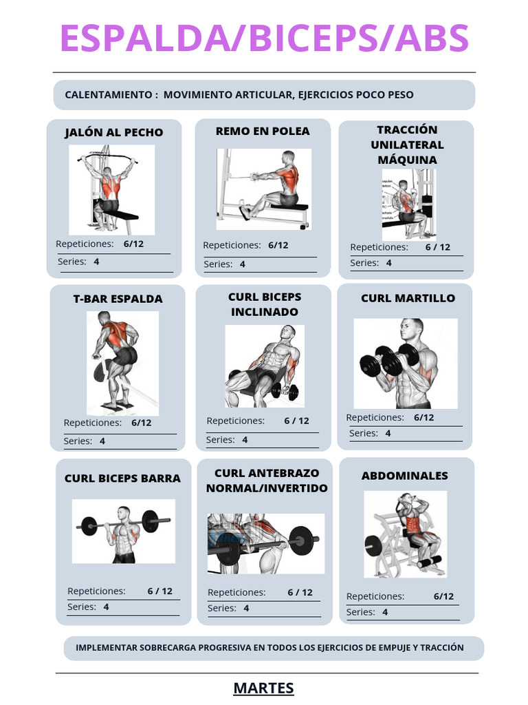 Rutina de Espalda y Bíceps en Gym | PDF | Ciencia y matemáticas