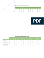 Programación Semanal de Tareas Consosrcio Sahagun