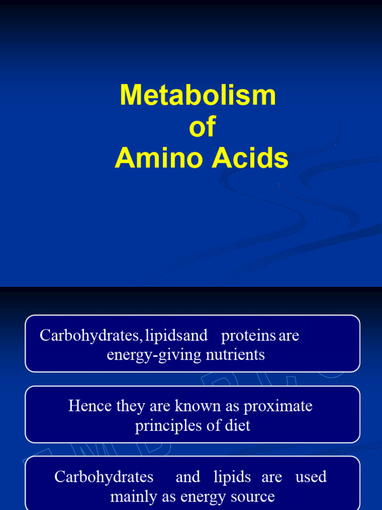 Amino Acid Metabolism Overview | PDF | Amino Acid | Biosynthesis