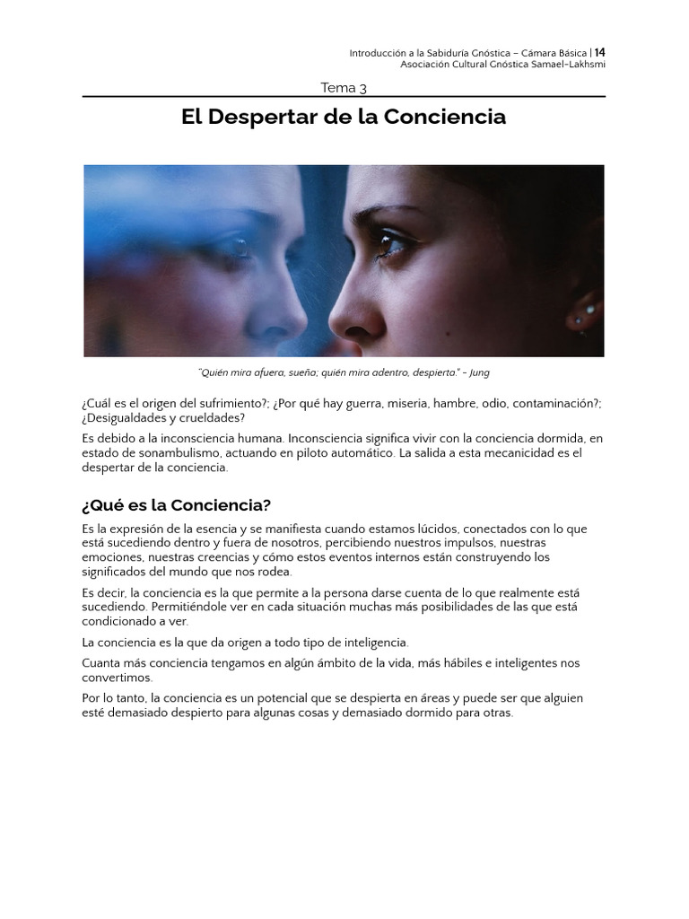 El Despertar de La Conciencia | PDF | Percepción | Experiencia