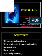 cerebellum-ppt