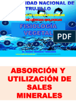 S10 - Ppt-Absorcion y Utilizacion de Sales Minerales-Rvt-2023-1