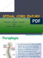 Spinal Cord Injury 23892295