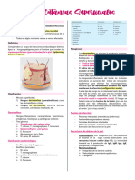 S2 - Micosis Superficiales