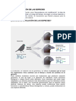 13 5 Vale La Evolución de Las Especies