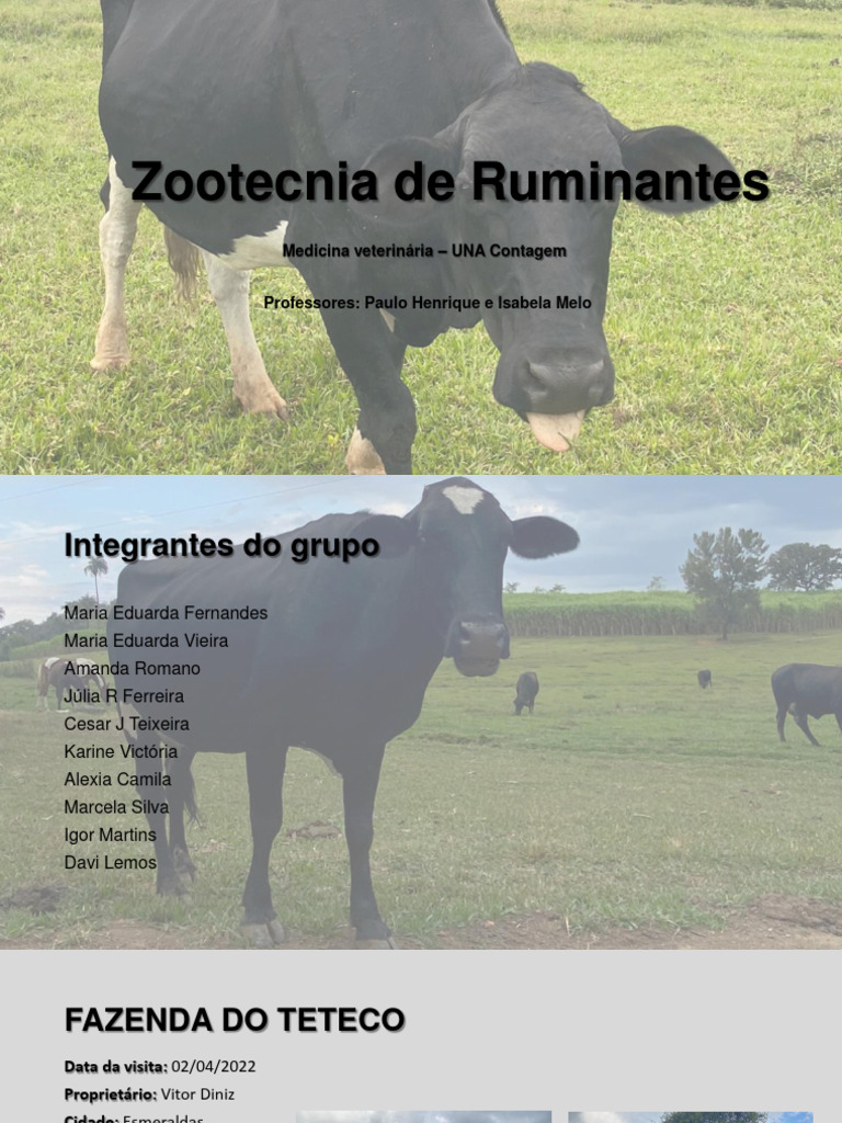 Trabalho Zootecnia de Ruminantes | PDF | Gado | Pecuária