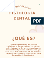 Histologia Dental