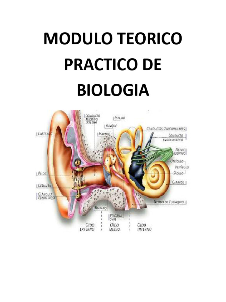 Módulo Teórico-Práctico de Biología | PDF