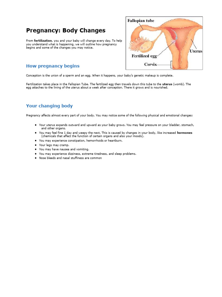 Pregnancy | PDF