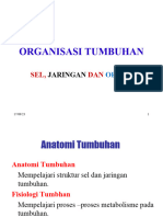 Kul Vii_ Organisasi Tumbuhan_ Sel, Jaringan Dan Organ