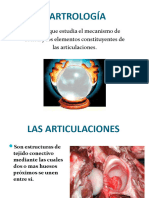 LAS ARTICULACIONEsIPkine2021